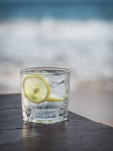 Glass of gin with lemon slices